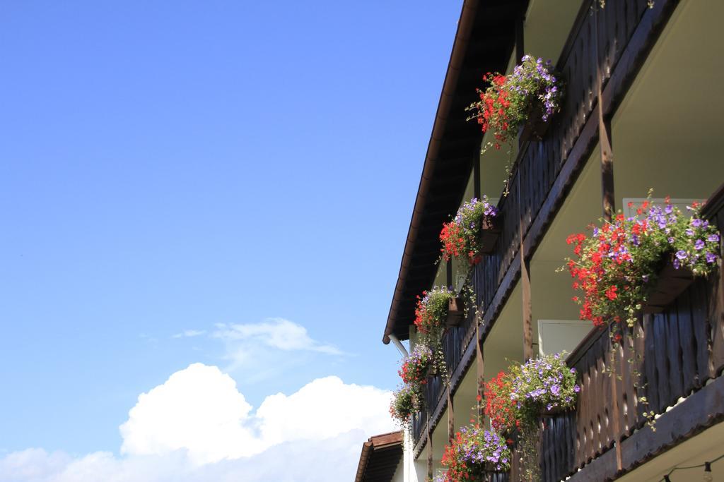 Hotel Alpenblick Berghof Halblech Værelse billede